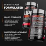 Lipo-6 Black, Fat Burner (120 Capsules) - Image 2