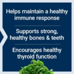 Life Extension, Vitamins D and K with Sea-Iodine, (60 Capsules) - Image 5