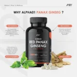 Korean Red Panax Ginseng 7500mg (120 Capsules) - Image 4