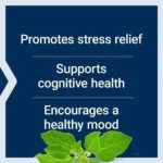 Life Extension Optimized Ashwagandha (60 capsules) - Image 3