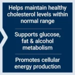 Life Extension, Vitamin B3 Niacin 500 mg (100 Capsules) - Image 3