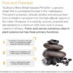 Youtheory, Men Shilajit/Shilajeet (60 capsules) - Image 3
