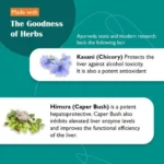 Himalaya Liv 52 (100 Tablet) - Image 3