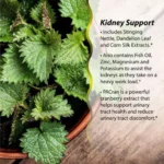 Irwin Naturals, 2-In-1 Kidney & Liver Super Cleanse (60 Liquid Soft-Gels) - Image 3