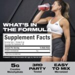 MuscleTech Platinum 100% Micronized Creatine Powder (400g) - Image 3