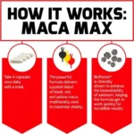 Force Factor, Fundamentals Maca Max 2000 mg (120 Vegetable Capsules) - Image 3