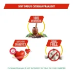 Dabur Chyawanprakash Sugar Free – (900g) - Image 2