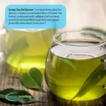 Green Tea Fat Burner (200 Soft-Gels) - Image 4