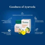Himalaya Gokshura (60 Tablets) - Image 3