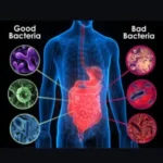 Trunature Women’s Daily Probiotic 25 Billion (90 Capsules) - Image 3