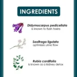 Himalaya Cystone (60 Tablets) - Image 3