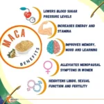 Spring Valley Maca Root 500mg (90 Capsules) - Image 2