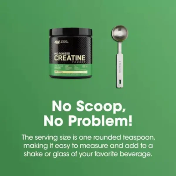 (ON) Micronized Creatine Monohydrate Powder (300g) - Image 4
