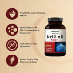 NatureBell Antarctic Krill Oil 1000mg 240 Softgels - Image 3